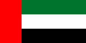 Fujairah Offshore Fishing Tournament 1st Place (Reel Saudis) Team Image | CatchStat.com Live Scoring