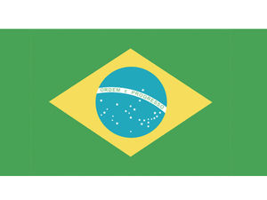Torneio Marlin Rio (Feera Fishing Team) Team Flag | CatchStat.com Live Scoring